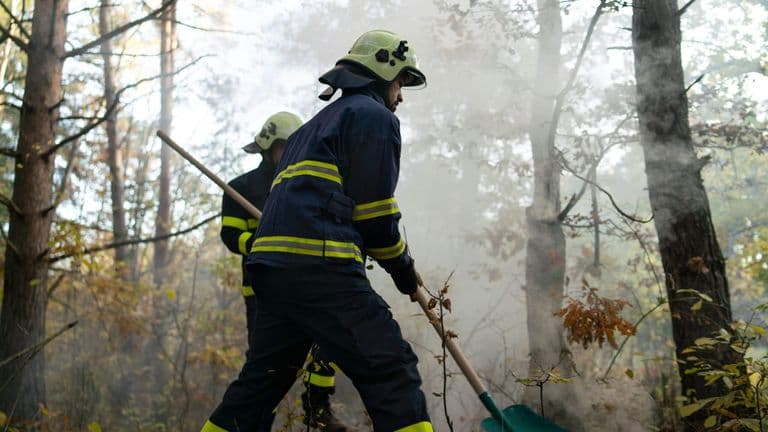 Riverside County on High Alert: Wildfires Prompt State of Emergency