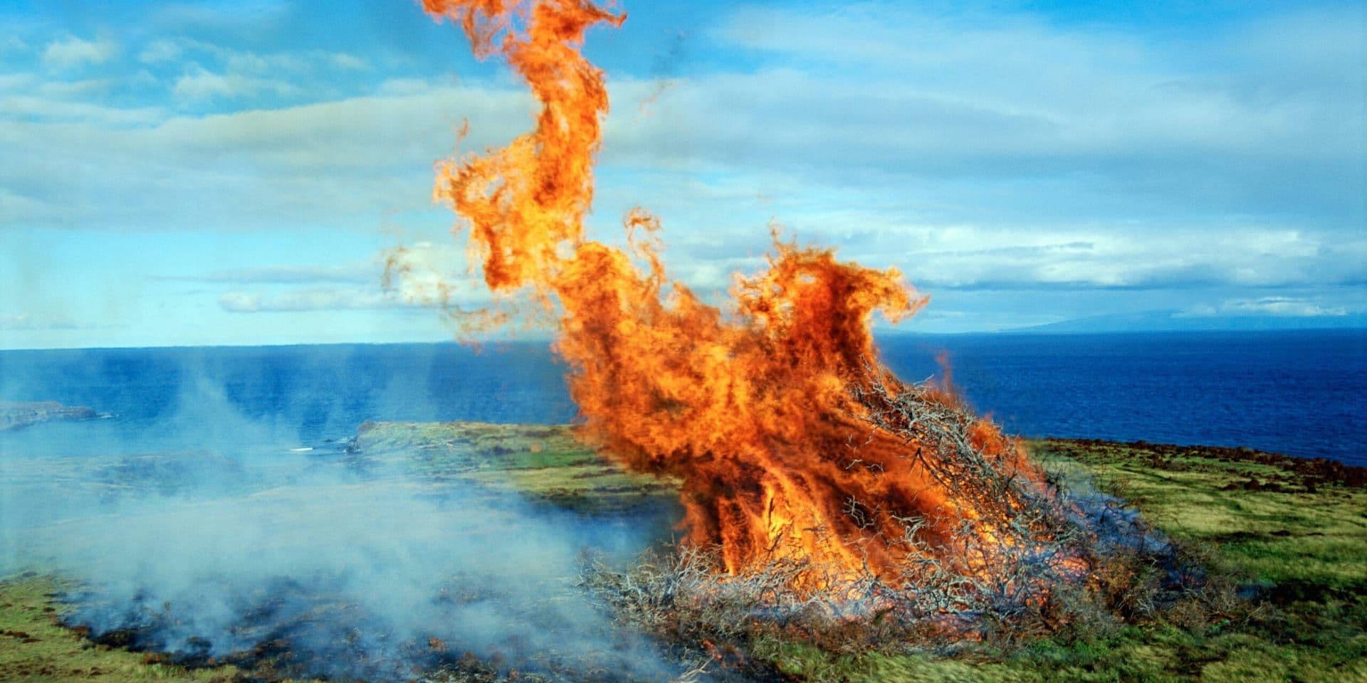 Southern California Edison Settles for $82.5 Million Over 2020 Bobcat Fire