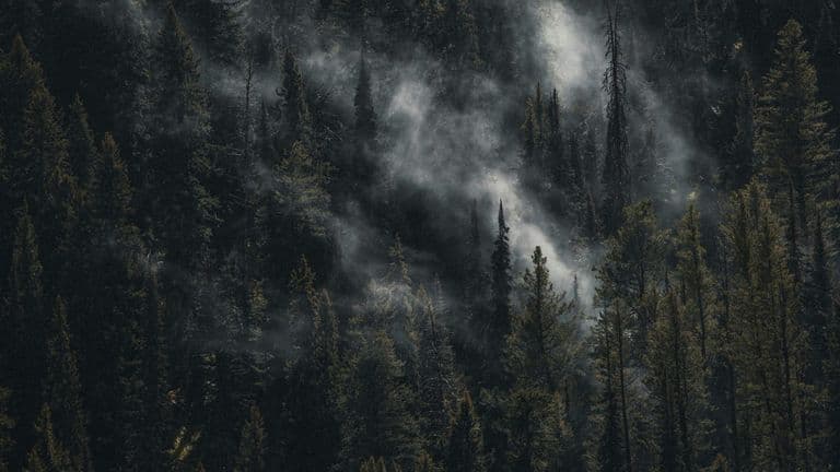 Southern California Prepares for Intense Wildfire Season Amid Severe Drought Conditions