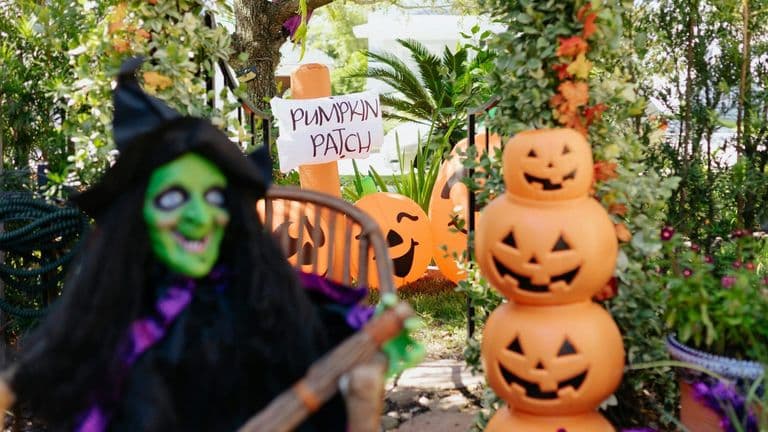 Southern California Hosts Fall Festivals and Events