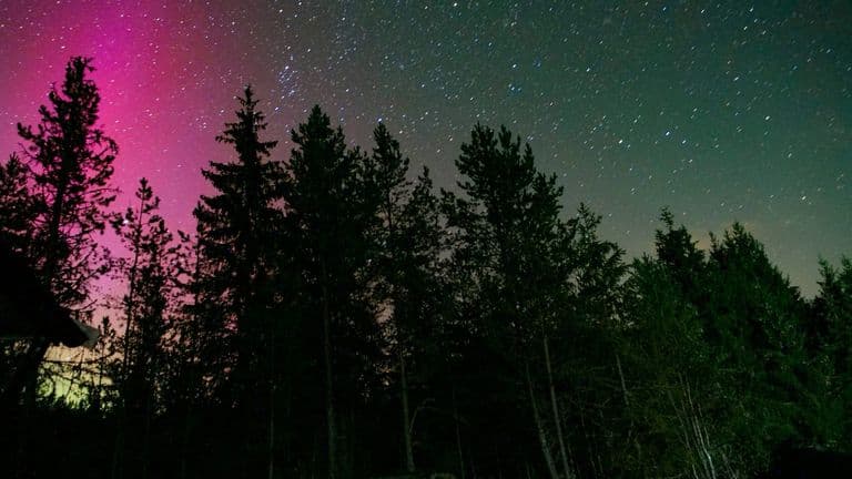 Geomagnetic Storm Brings Rare Glimpse of Northern Lights to Southern California