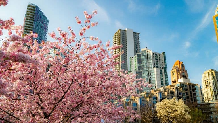 Navigating the Spring Market: What to Expect in Real Estate in 2024