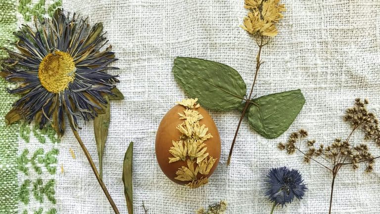 Exploring the Intersection of Art and Sustainability in the SoCal Design Scene