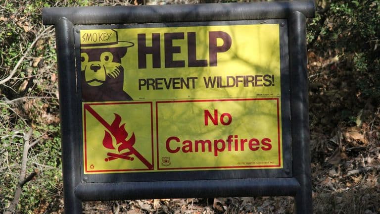 January 7