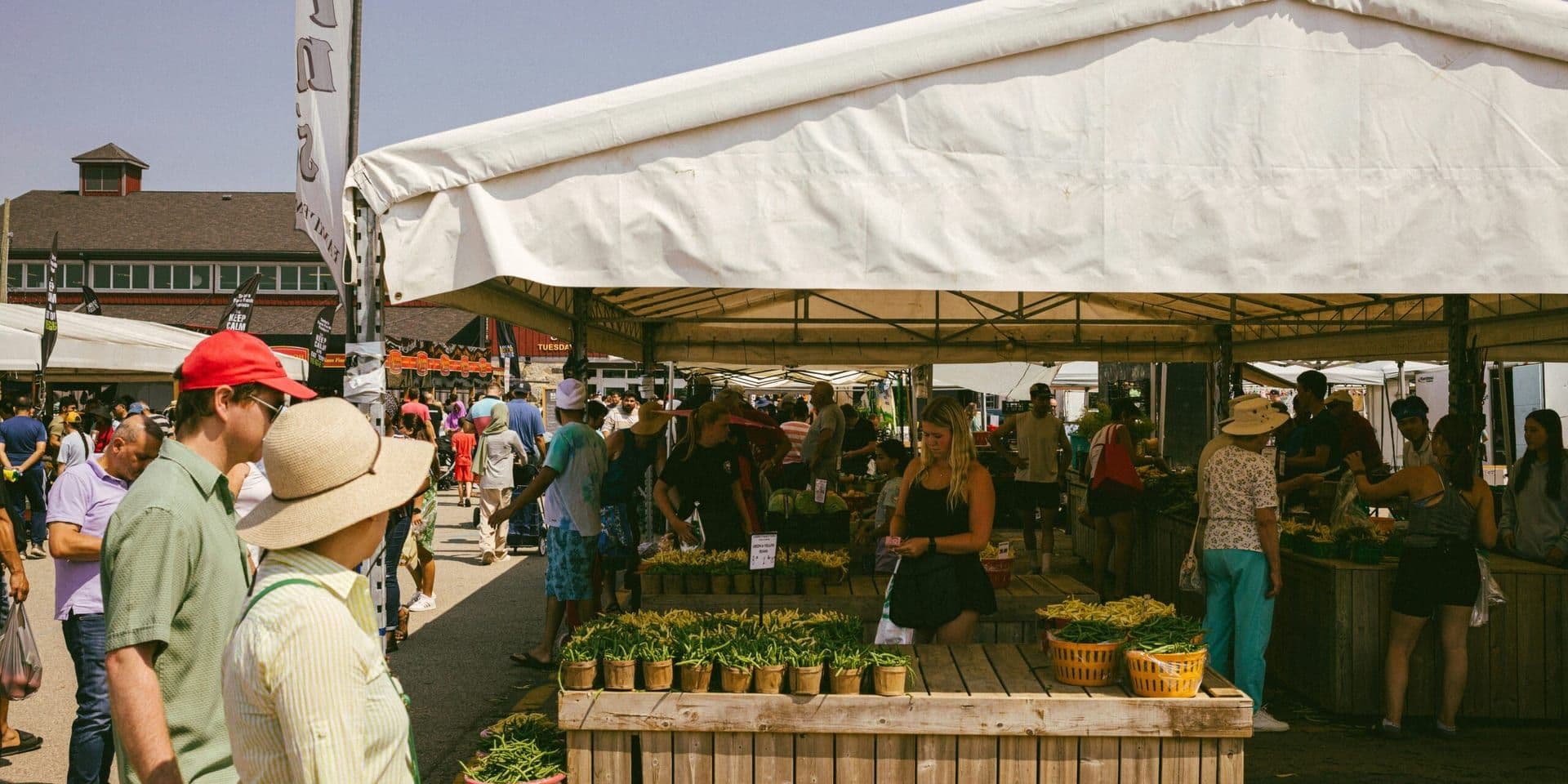 Southern California Hosts Multiple Fruit and Vegetable Festivals