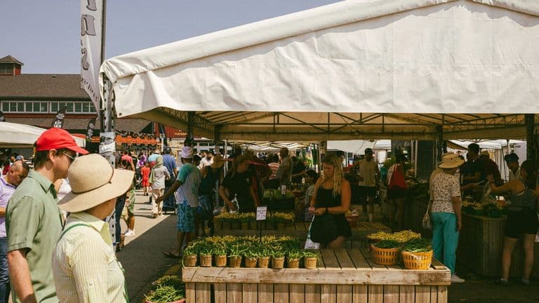 Southern California Hosts Multiple Fruit and Vegetable Festivals