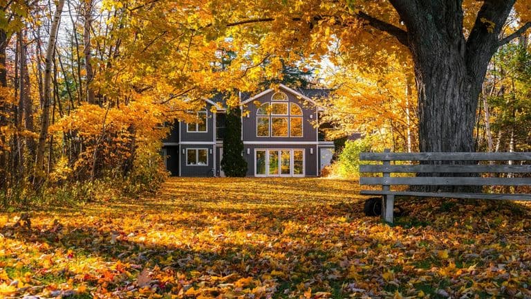 Preparing for Fall: How Seasonal Changes Are Affecting Home Sales