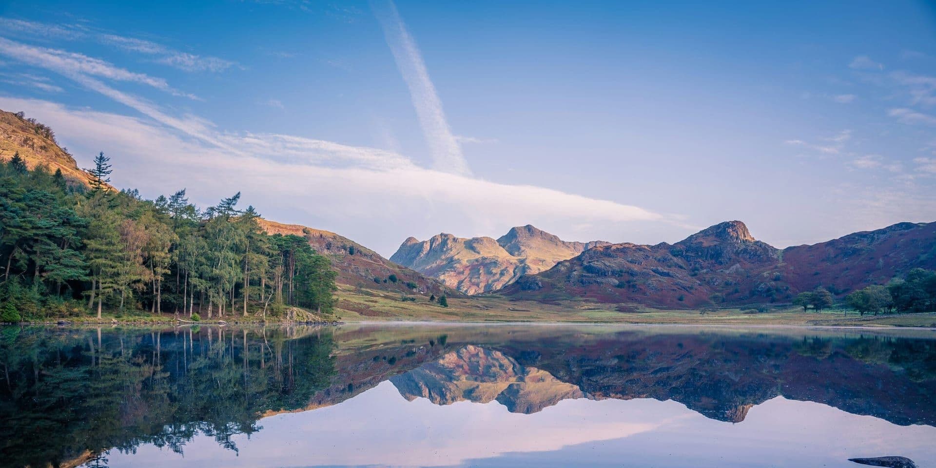 The Value of Living Near Nature