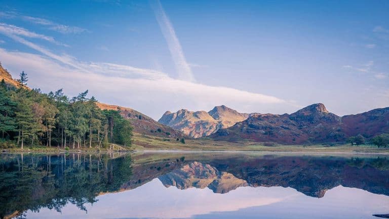 The Value of Living Near Nature
