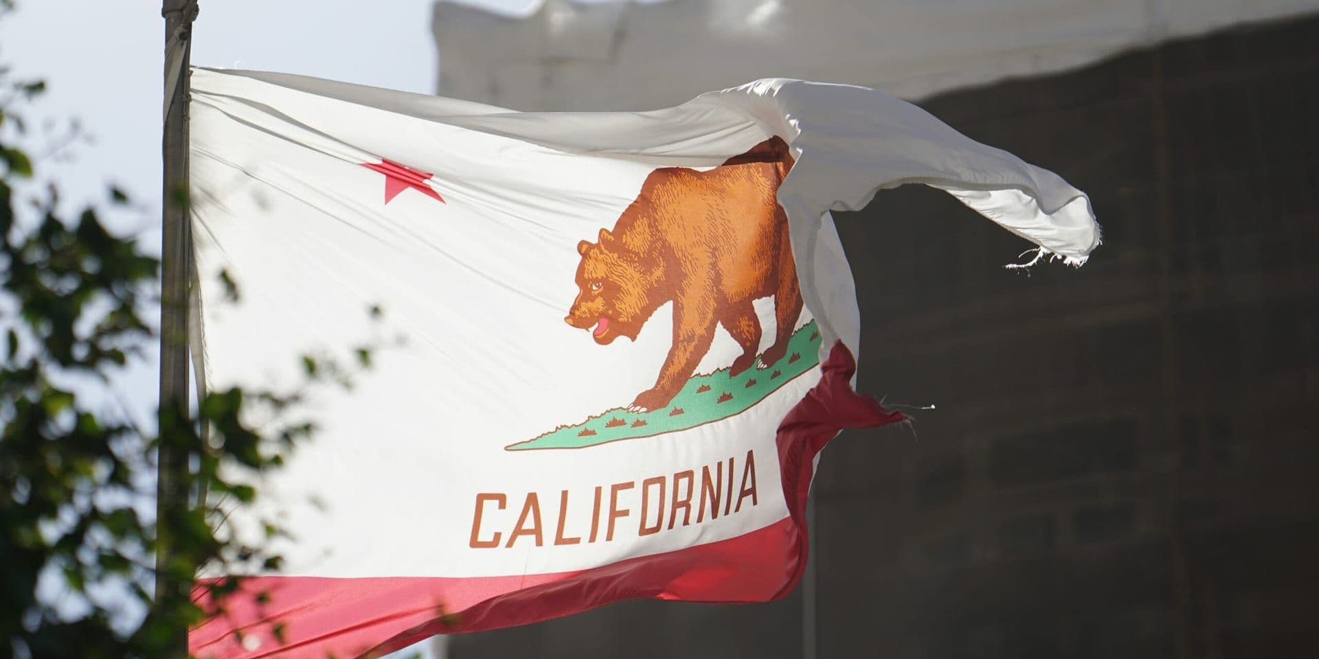 California Governor Signs Landmark Climate Legislation Targeting Carbon Emissions by 2040
