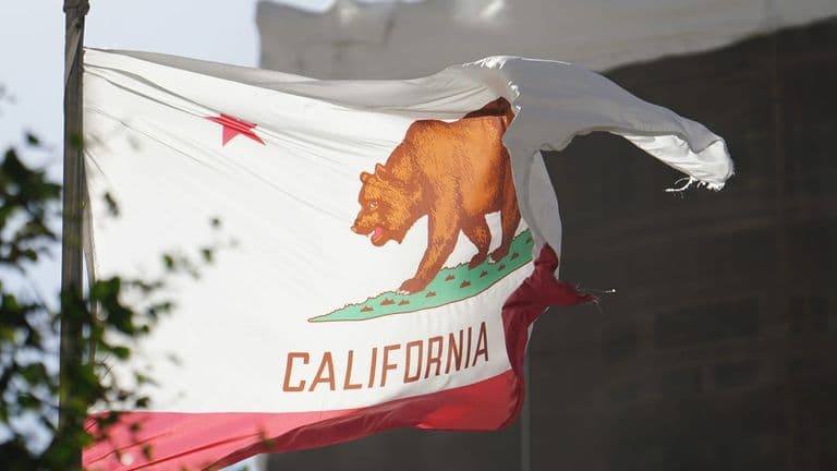California Governor Signs Landmark Climate Legislation Targeting Carbon Emissions by 2040