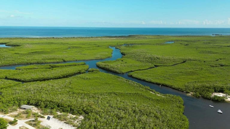 Governor Ron DeSantis Pushes for Expanded State Authority and Record Funding to Accelerate Everglades Restoration