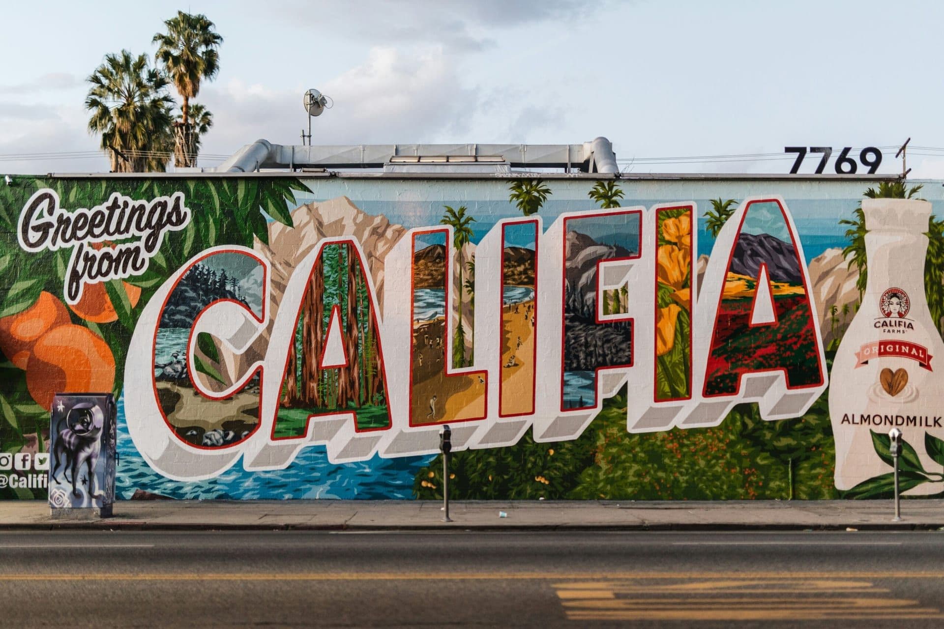 Reviving Wellness: Southern California’s Rise as the Wellness Capital