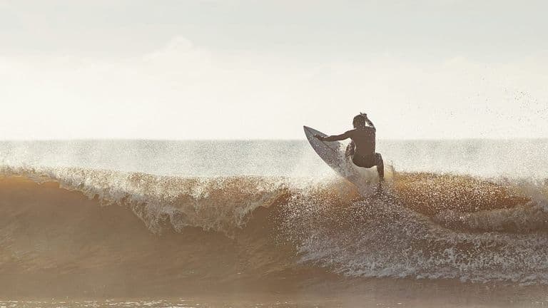 Doheny Surf & Art Festival: A Celebration of Surf Culture and Creativity