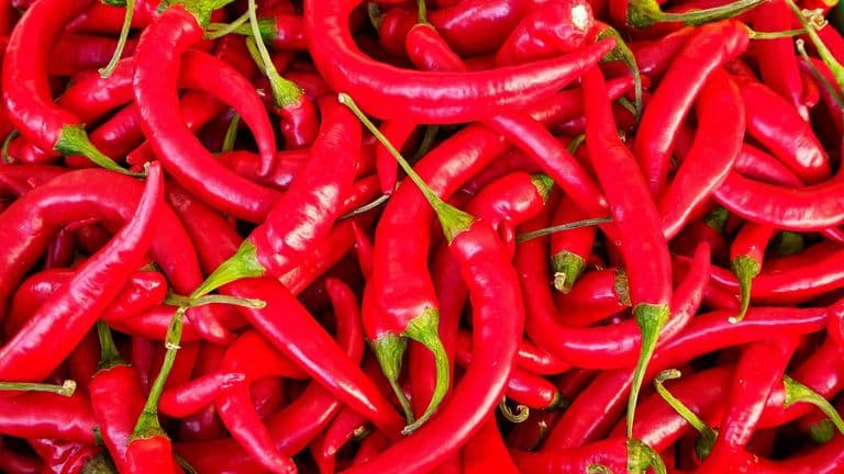 Tustin Street Fair & Chili Cook-Off