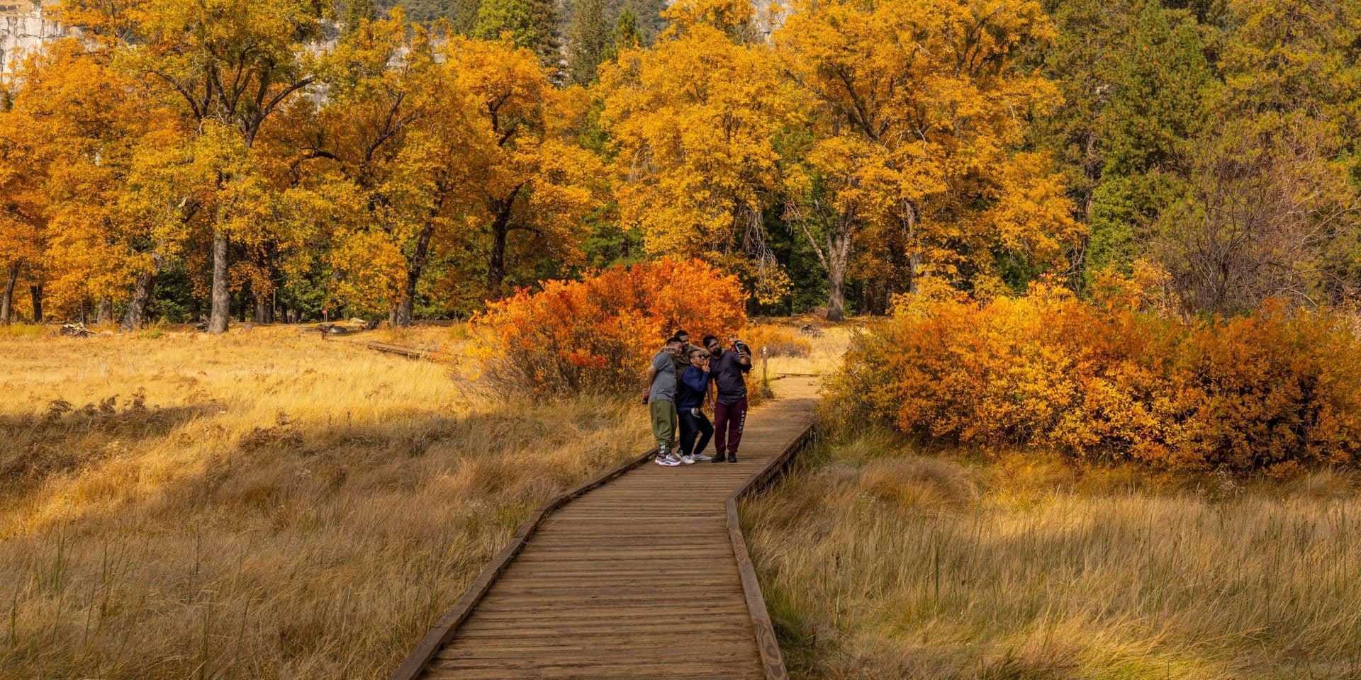 National Parks Celebrate Record Visitor Numbers as Fall Foliage Peaks