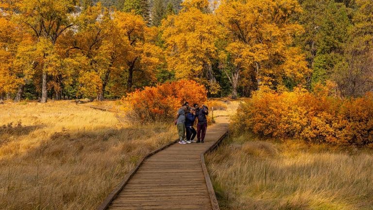 National Parks Celebrate Record Visitor Numbers as Fall Foliage Peaks