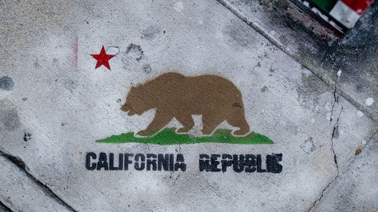 Steve Hilton’s Bid to Revive the California GOP: A Populist Challenge to Democrat Dominance