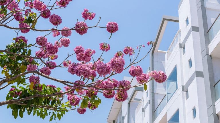 The Spring Housing Market: How the 2024 Season is Shaping Buyer Behavior and Home Sales