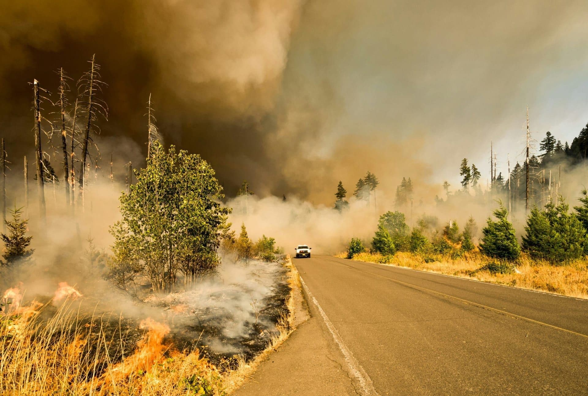 Southern California Faces Life-Threatening Winds and Fire Risk