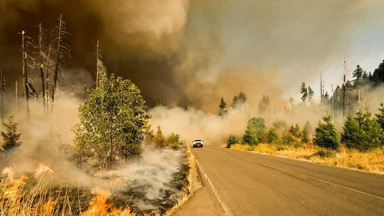 Southern California Faces Life-Threatening Winds and Fire Risk