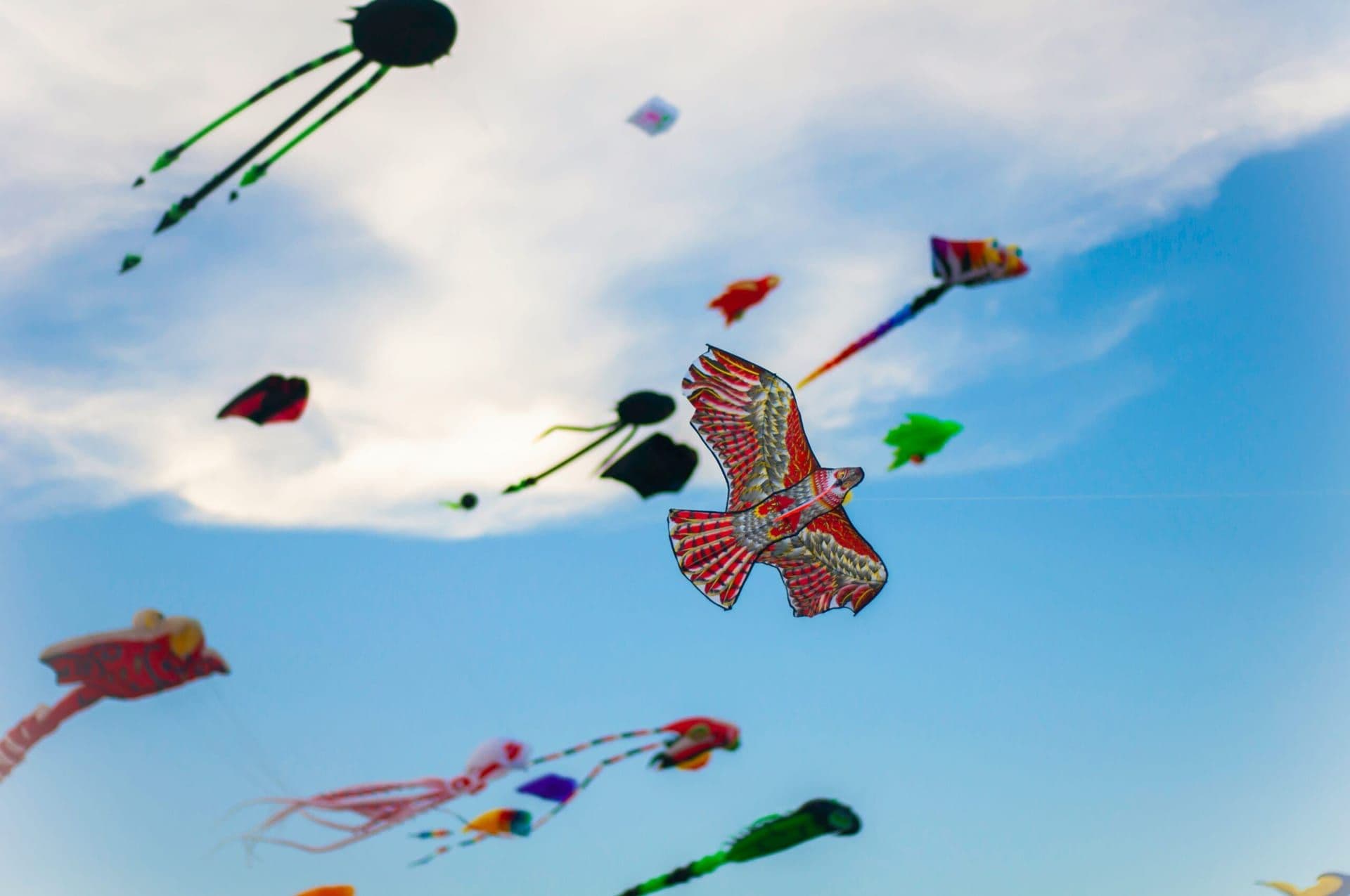 3rd Annual Community & Unity People’s Kite Festival