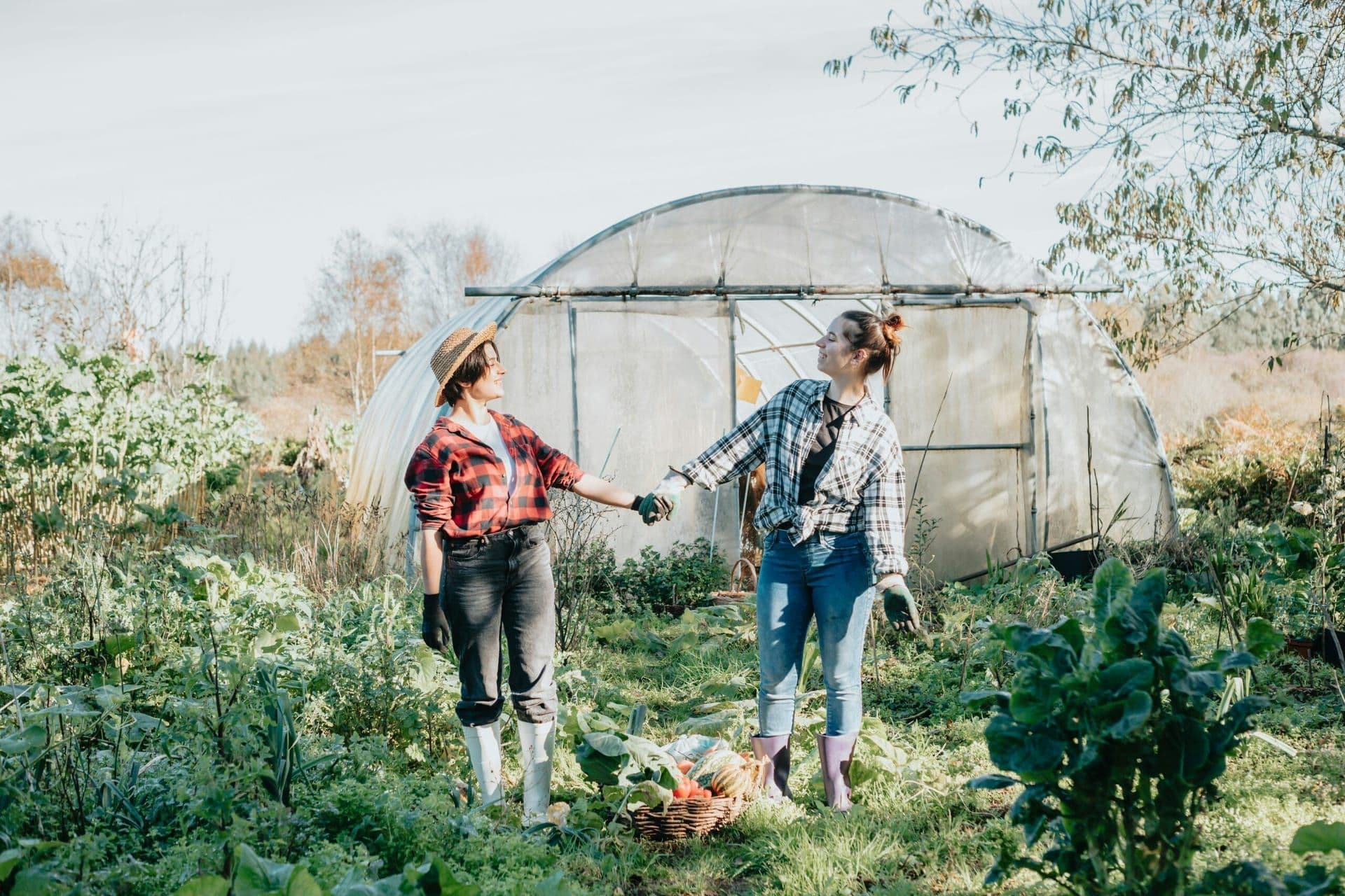 The Rise of Veganism in Southern California: A New Cultural Movement