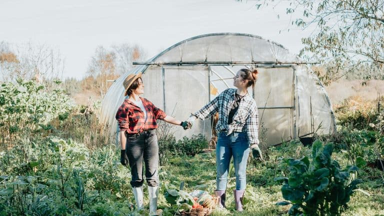 The Rise of Veganism in Southern California: A New Cultural Movement