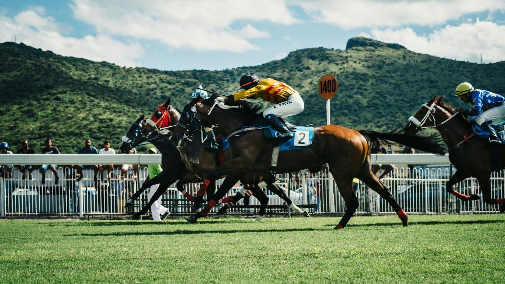 Surfer Girl Stakes at Santa Anita Park: A Showcase of Equestrian Excellence