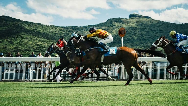 Surfer Girl Stakes at Santa Anita Park: A Showcase of Equestrian Excellence