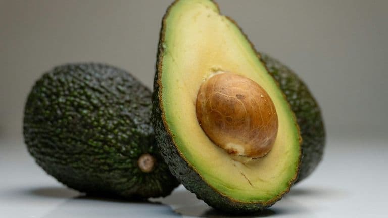 California Avocado Festival 2023