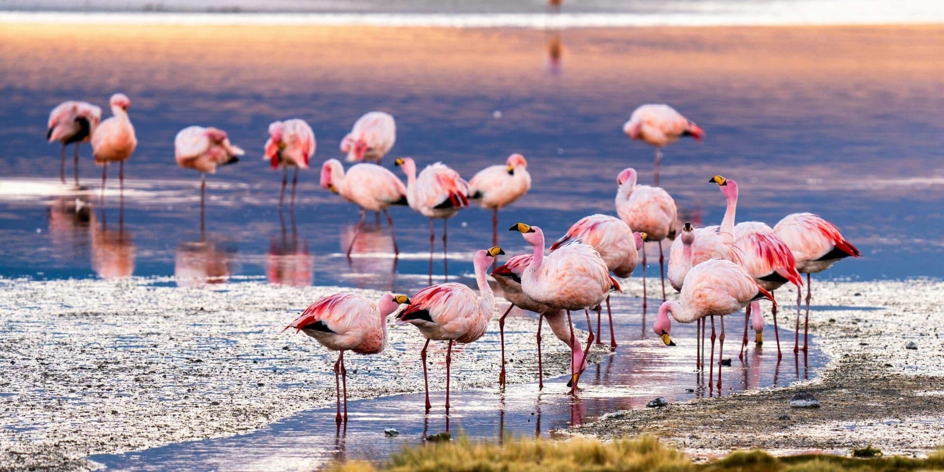Flamingo Lodge—A Climate-Resilient Eco-Hotel Reimagines Visitor Experience in Everglades National Park