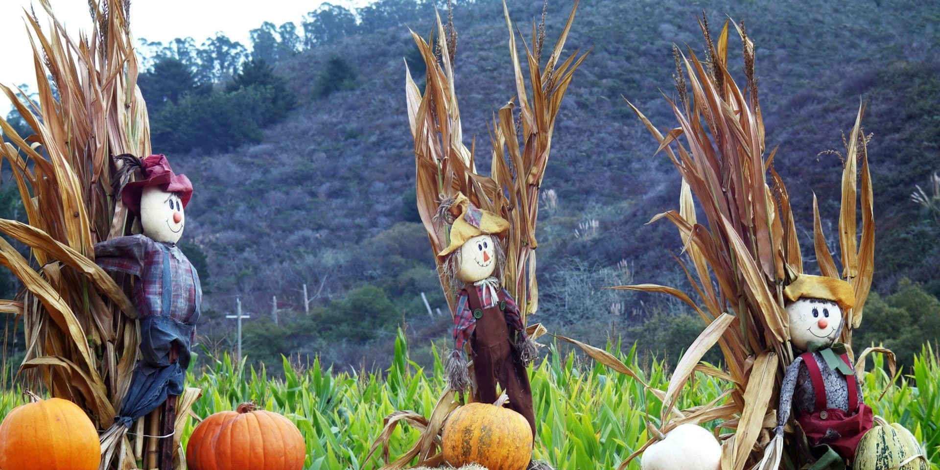 Exploring Fall Festivals Across Southern California