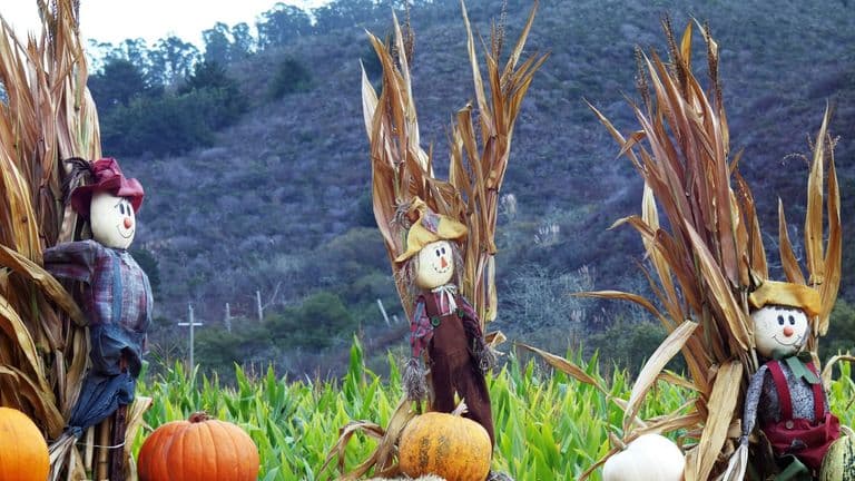 Exploring Fall Festivals Across Southern California