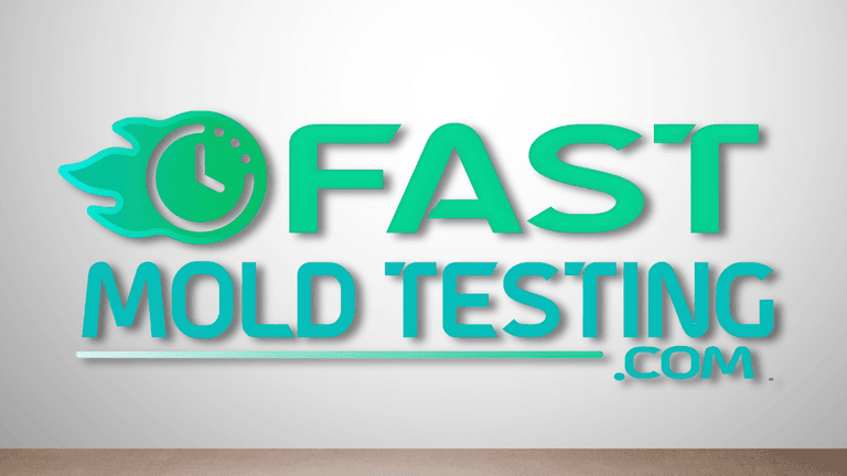 The image showcases the logo for Fast Mold Testing, specializing in fast and professional mold inspections and testing services in San Diego.