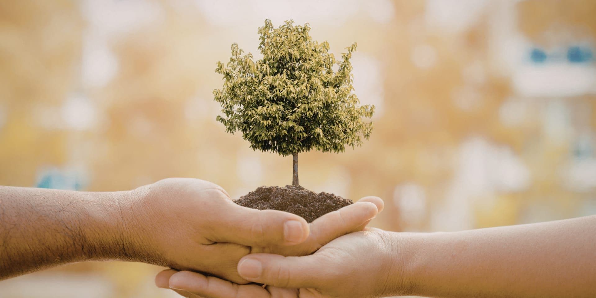 Southern California Communities Come Together for Coastal Care, Arts, and Local Connection