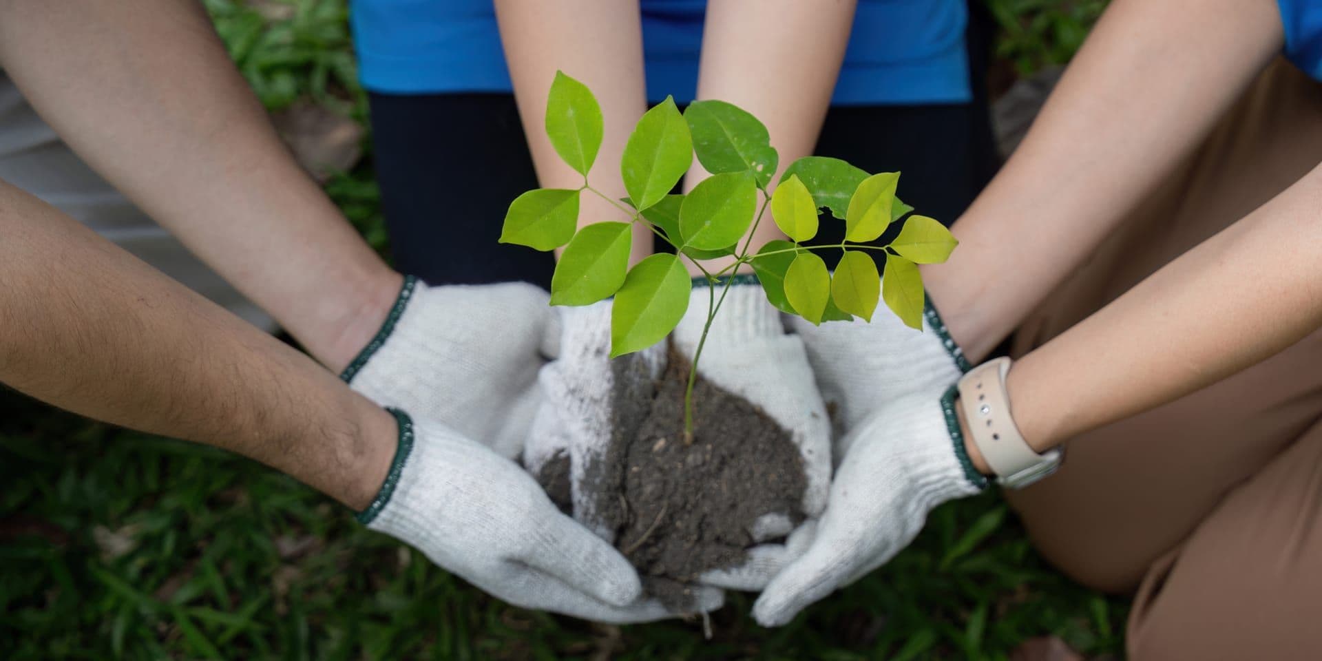 Southern California’s Community Gardens and Local Wellness Movement Continue to Flourish Across Neighborhoods