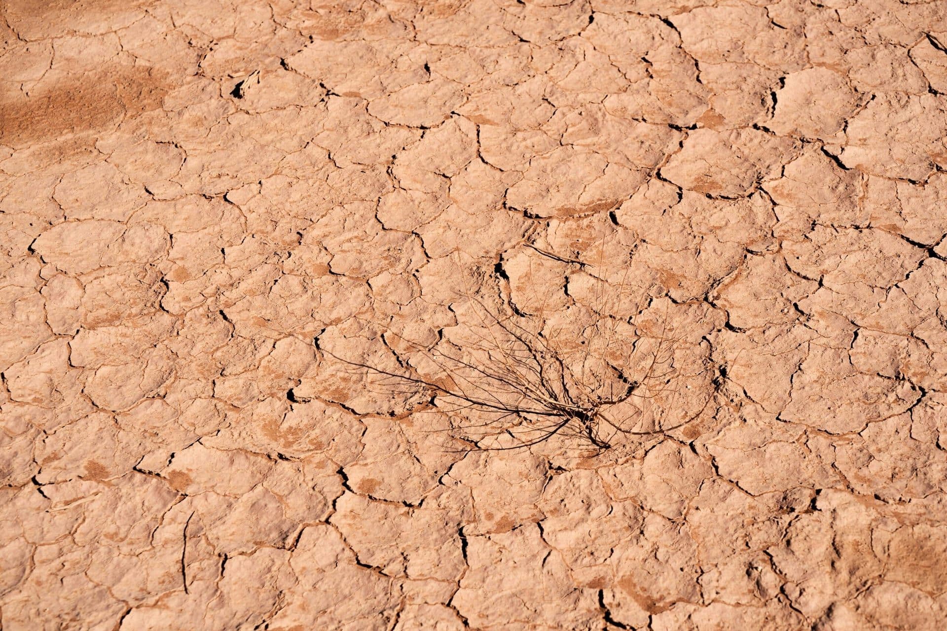 Southern California Faces Severe Drought Conditions, Raising Concerns for Water and Wildfire Risks