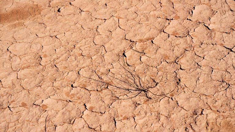 Southern California Faces Severe Drought Conditions, Raising Concerns for Water and Wildfire Risks