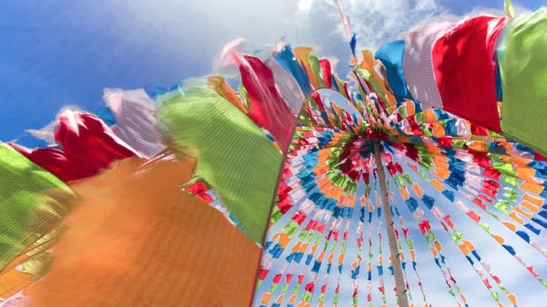 Southern California’s Summer Festivals: A Celebration of Diversity and Community