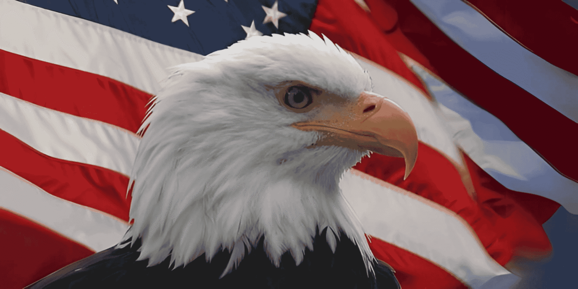 Dnna standard image ( 1200 x 600 ) (22)