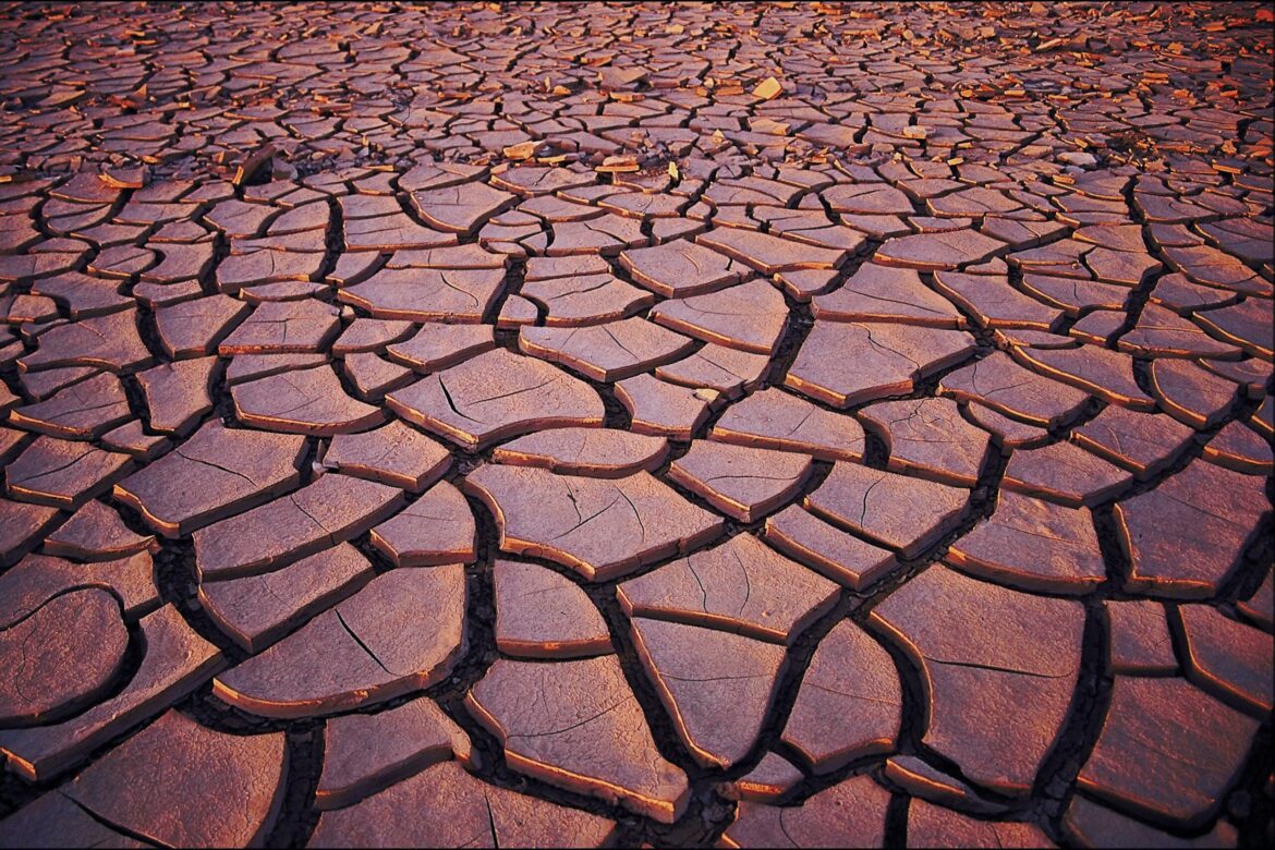 February 9 February 9